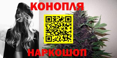 прущие грибы Сосновоборск
