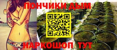гидра Сочи