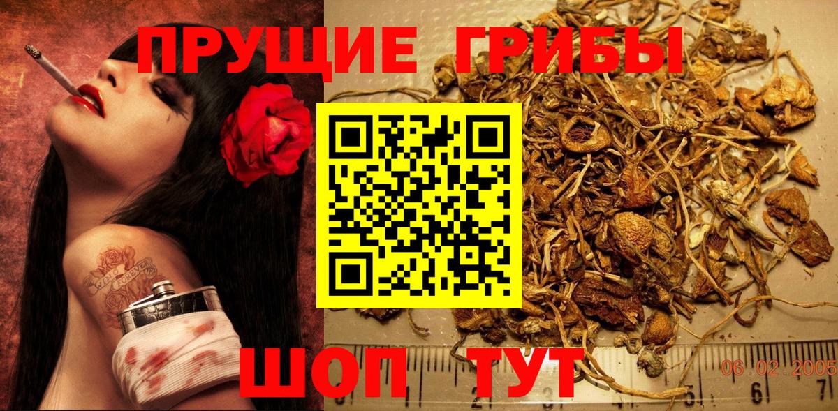 Галлюциногенные грибы ЛСД  Вход с VPN  Беслан  Псилоцибиновые грибы ЛСД 
